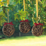 Seed & Nut Ornaments