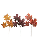 Maple Leaf Pik