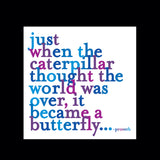 Magnets by Quotable