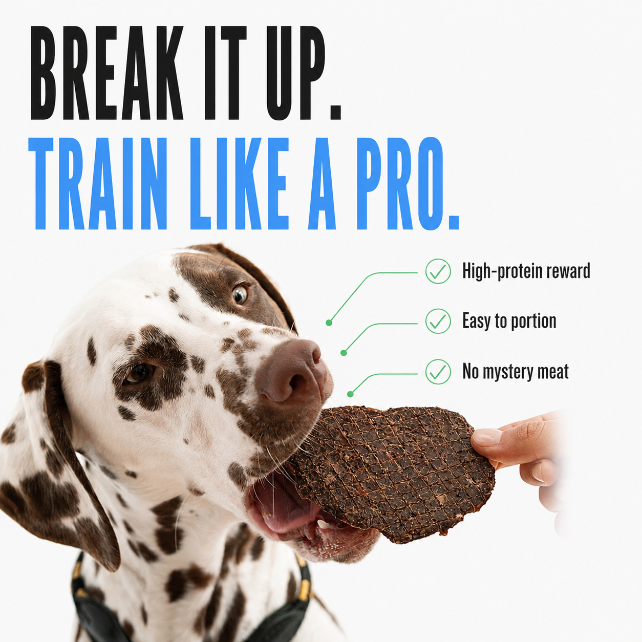 Winnie Lou Bison Burger Jerky - break it up, train like a pro