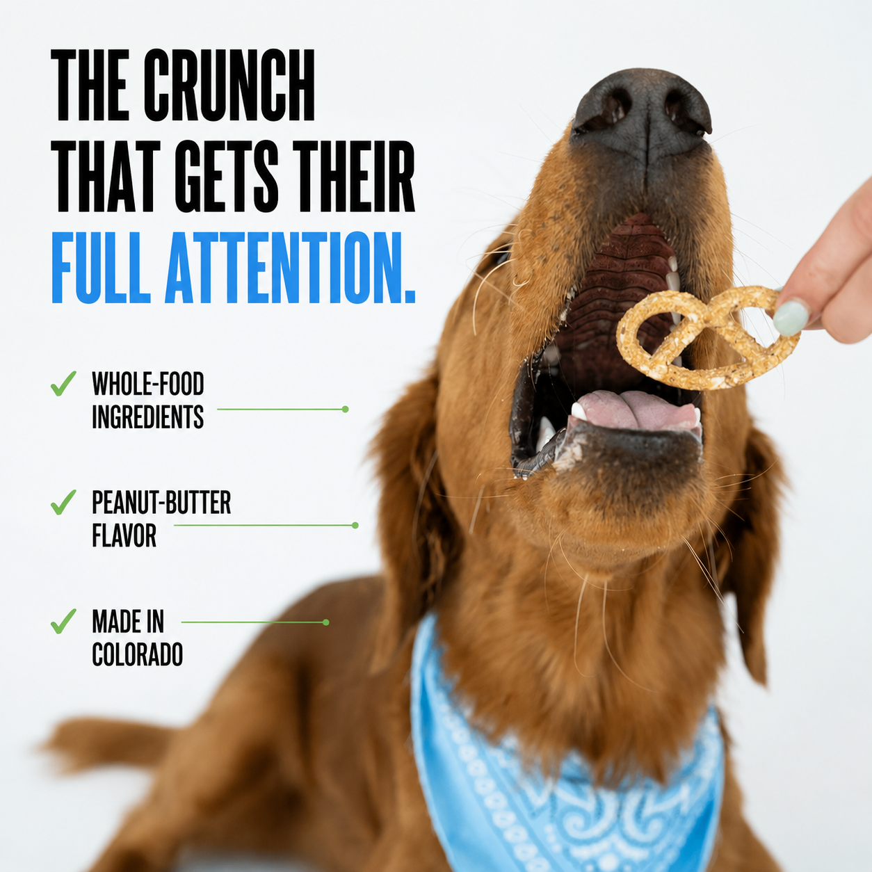 Winnie Lou Peanut Butter Pretzels - the crunch that gets their full attention