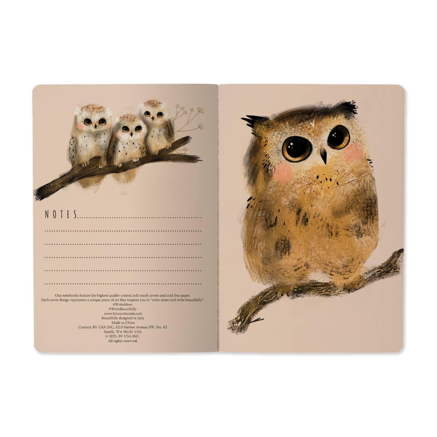 A5 ruled notebook with an illustrated owlet cover design, detail view