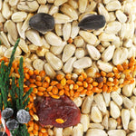 Close-up of pressed sunflower seeds, millet, and a dried cranberry on a seed ornament