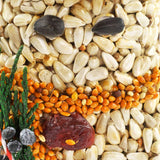 Close-up of pressed sunflower seeds, millet, and a dried cranberry on a seed ornament