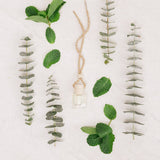 Eucalyptus Mint Car Diffuser – Clean & Fresh