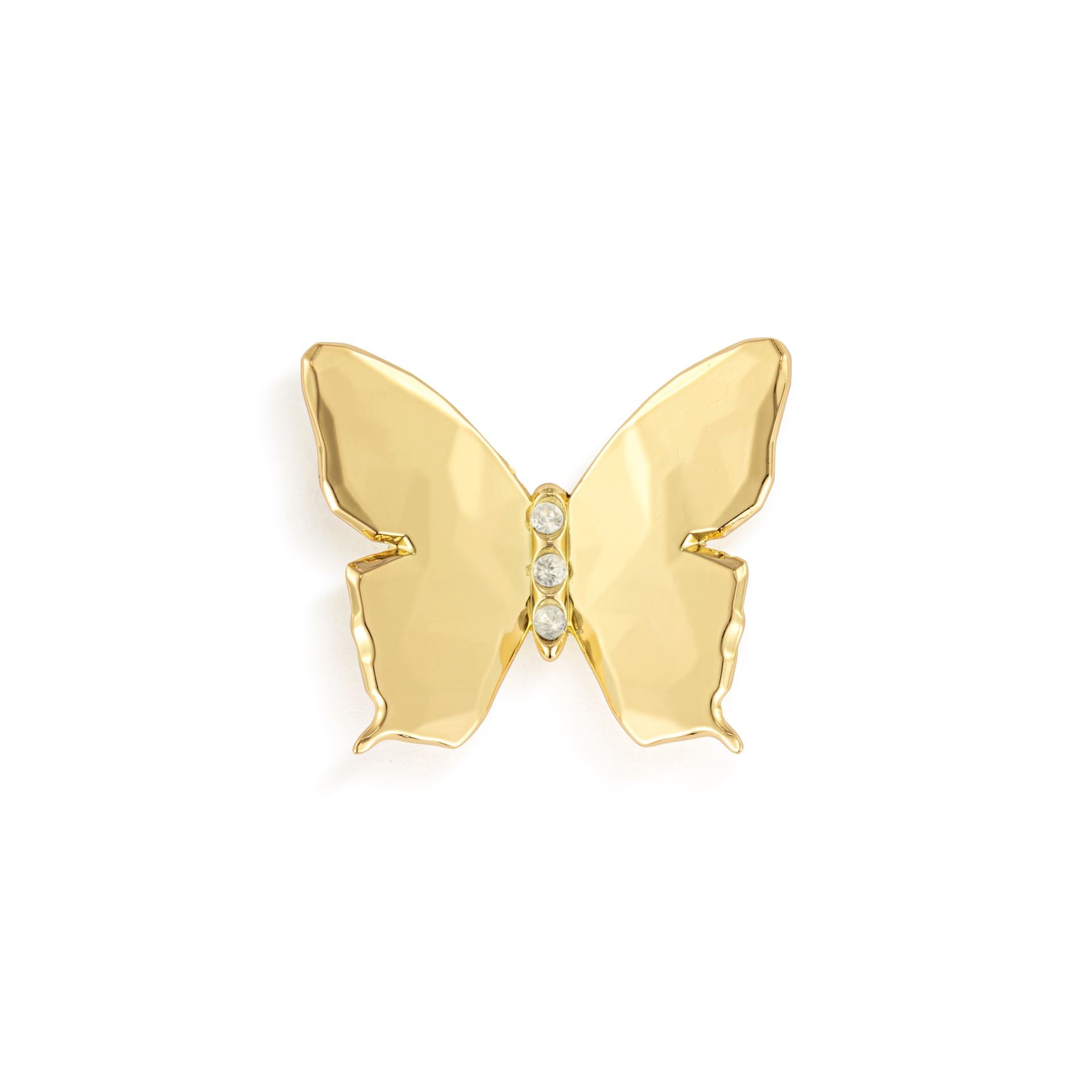 Butterfly Magnetic Frame Charm