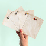 Feathered Friends birds boxed note card set, view 5 of 9