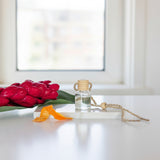 Car Diffuser: Volcano