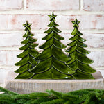 Tall trio of glossy green wood trees with star tops