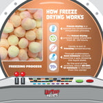 How freeze drying works - UpTop Treats freezing process infographic
