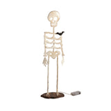 Small Light-Up Skeleton Sitter