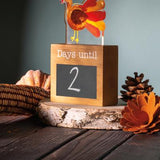 Light-Up Holiday Countdown Set