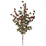 Burgundy berry pod bush with sage green foam foliage on branching stems