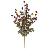 Burgundy berry pod bush with sage green foam foliage on branching stems