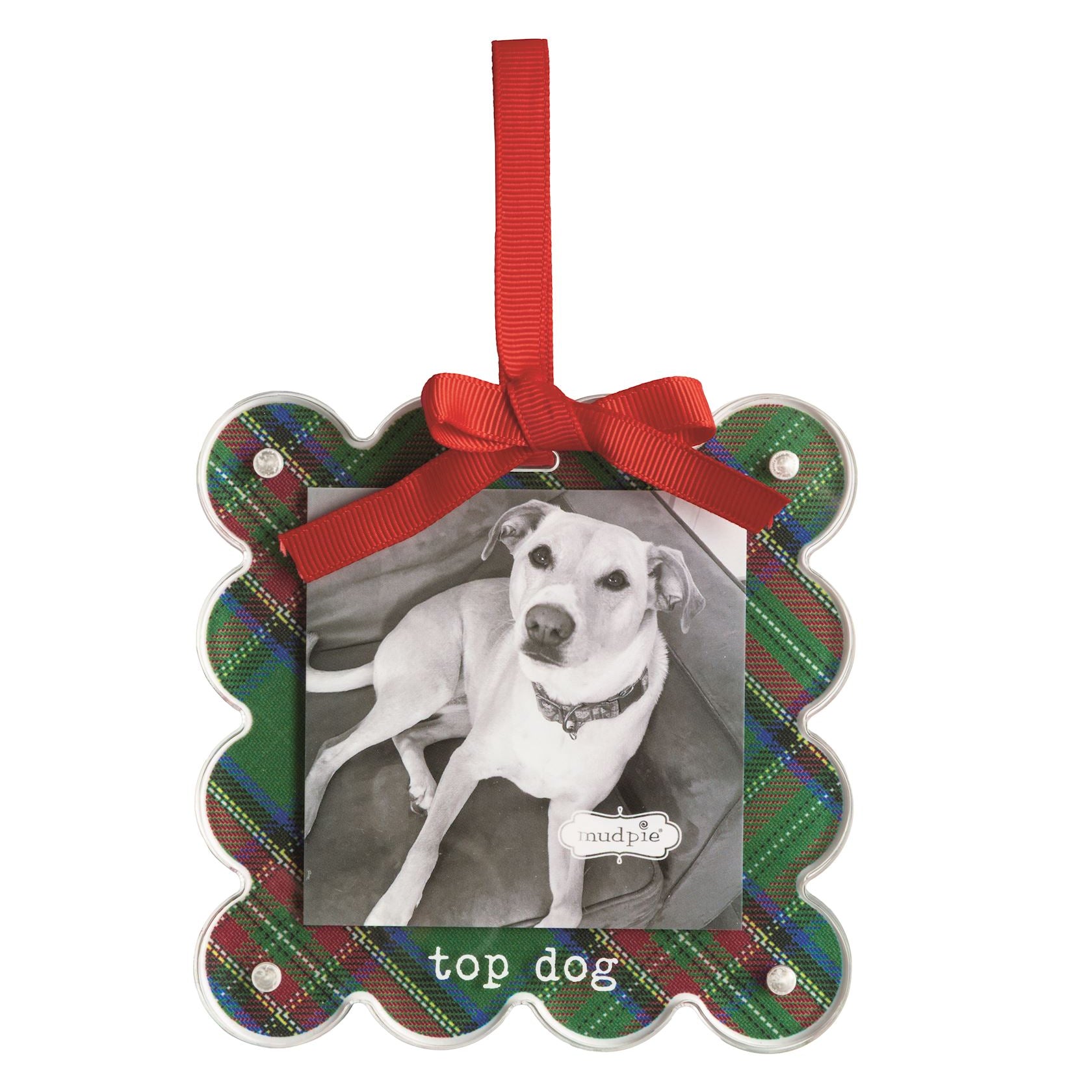 Scalloped tartan photo frame ornament with a red bow and top dog lettering, holding a dog photo