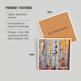 Colorado Aspen Trees Ceramic Coaster