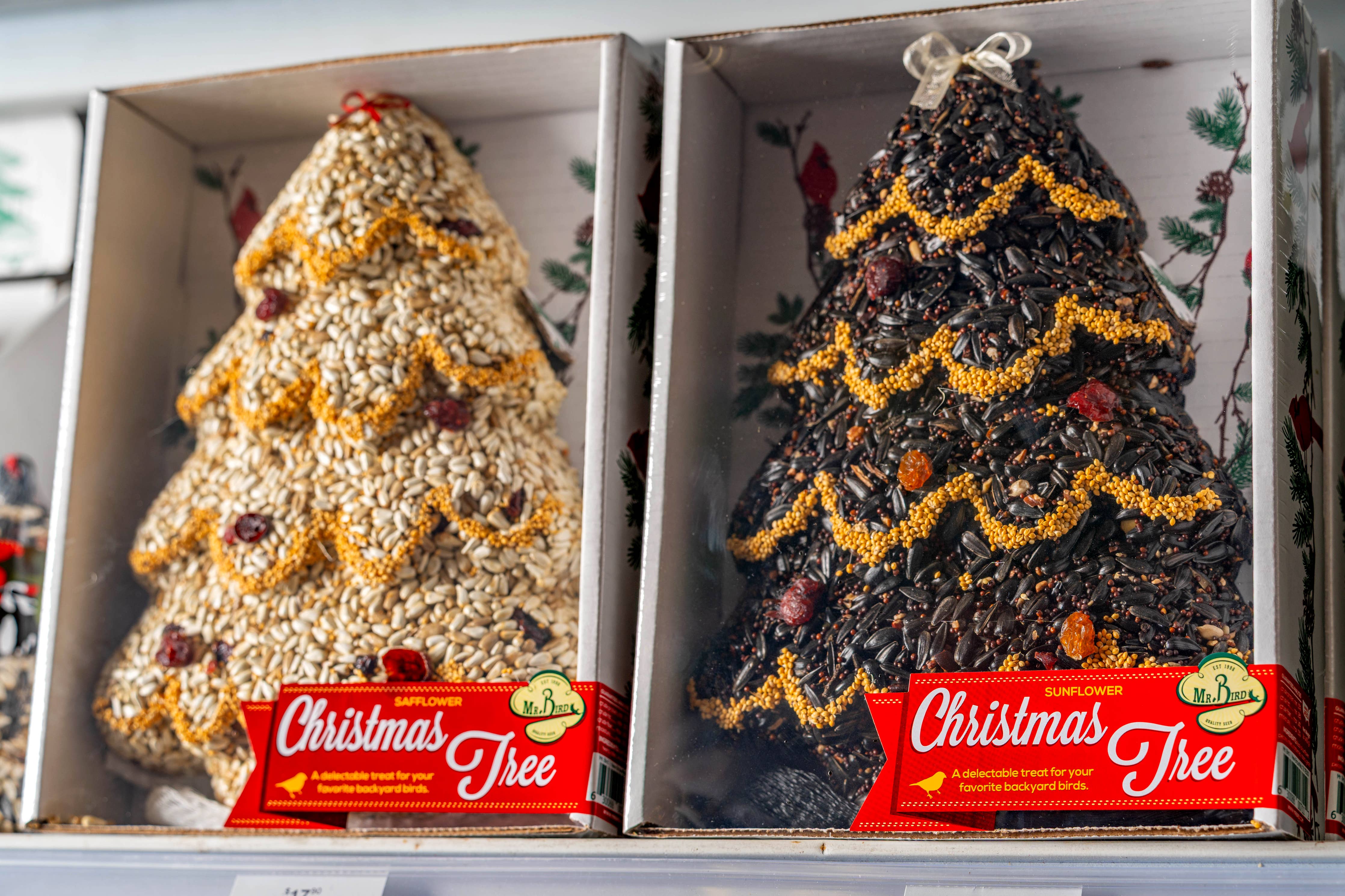 Two boxed seed trees with red Christmas Tree labels, side by side