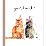 Cats You're How Old? Birthday Card