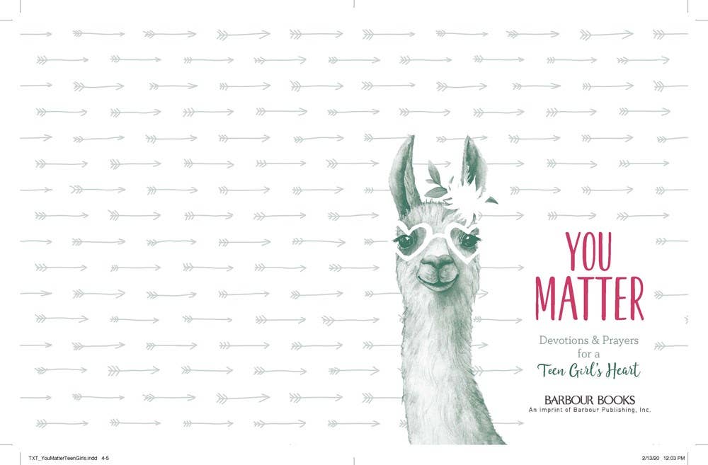 You Matter, devotional for teen girls, Barbour Publishing book cover