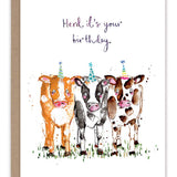 Cows Herd It's Your Birthday Card