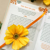 Unfiltered Devotions for Women