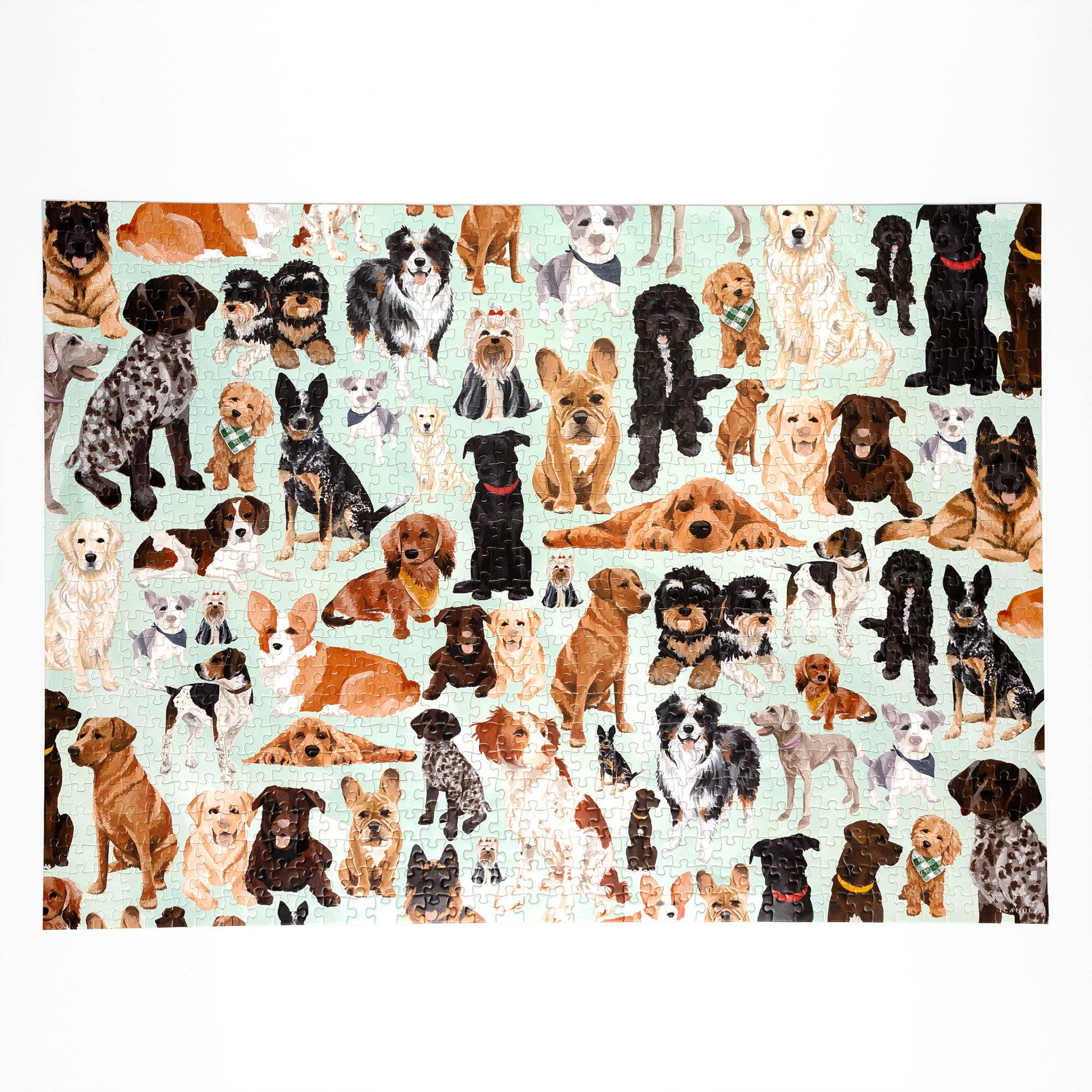 Furry Friends 1,000 piece dog breeds jigsaw puzzle, view 4 of 8
