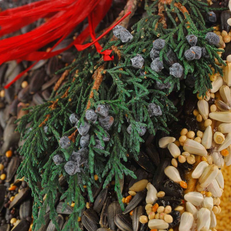 Close-up of juniper sprigs, red raffia, and seeds on the birdhouse