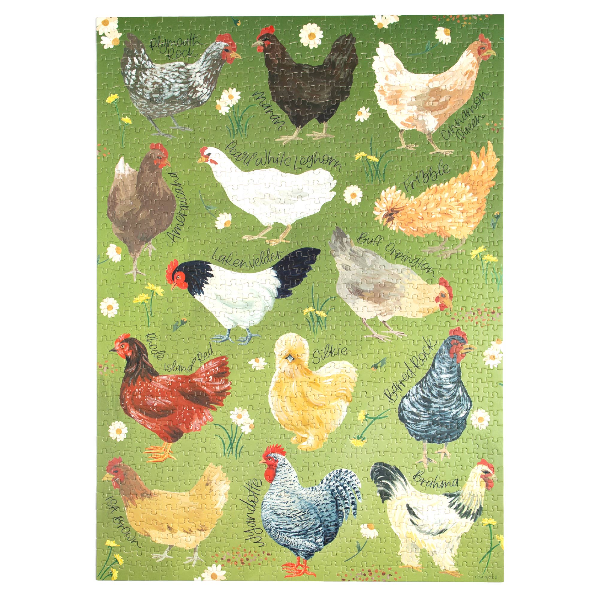 Chicken Meadows 1,000 piece chicken jigsaw puzzle, view 4 of 8