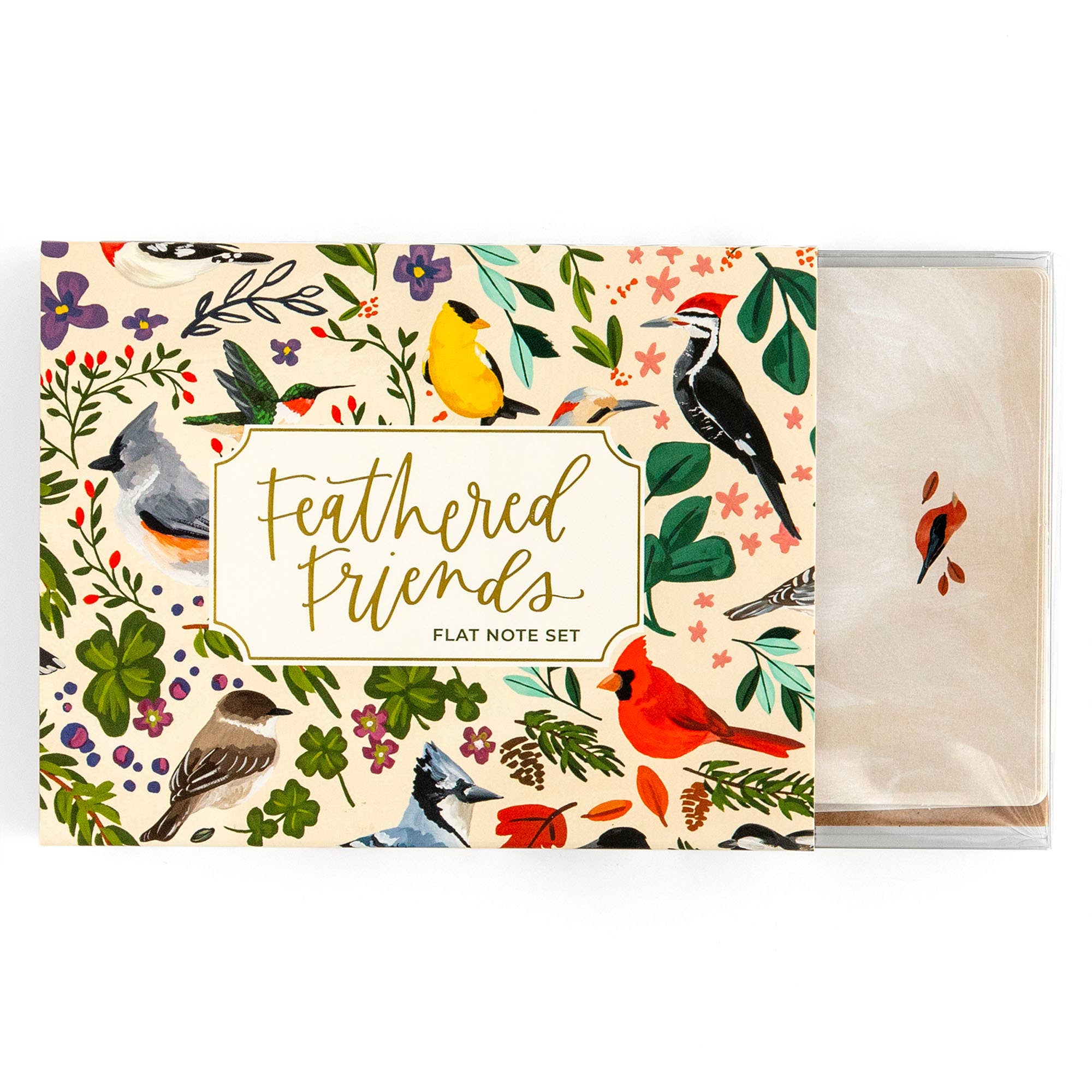Feathered Friends birds boxed note card set