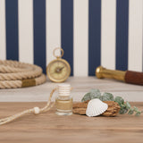 Car Diffuser: Eucalyptus Rain