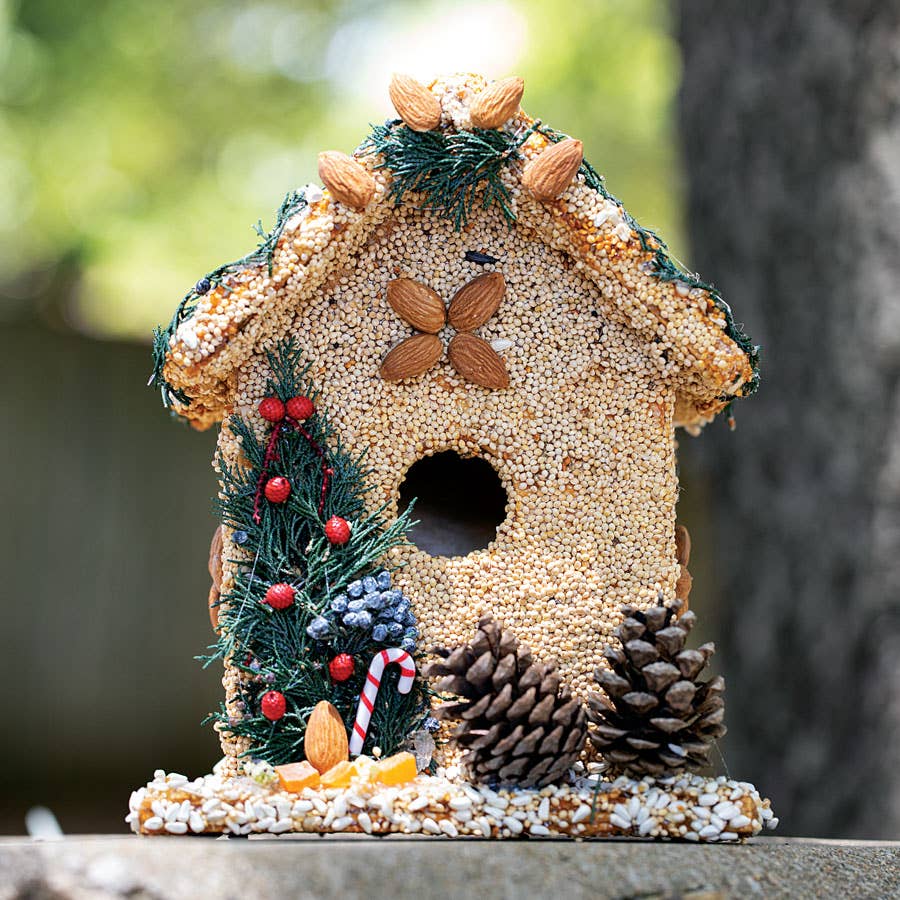 Juniper seed birdhouse with pine cones and evergreen trim outdoors