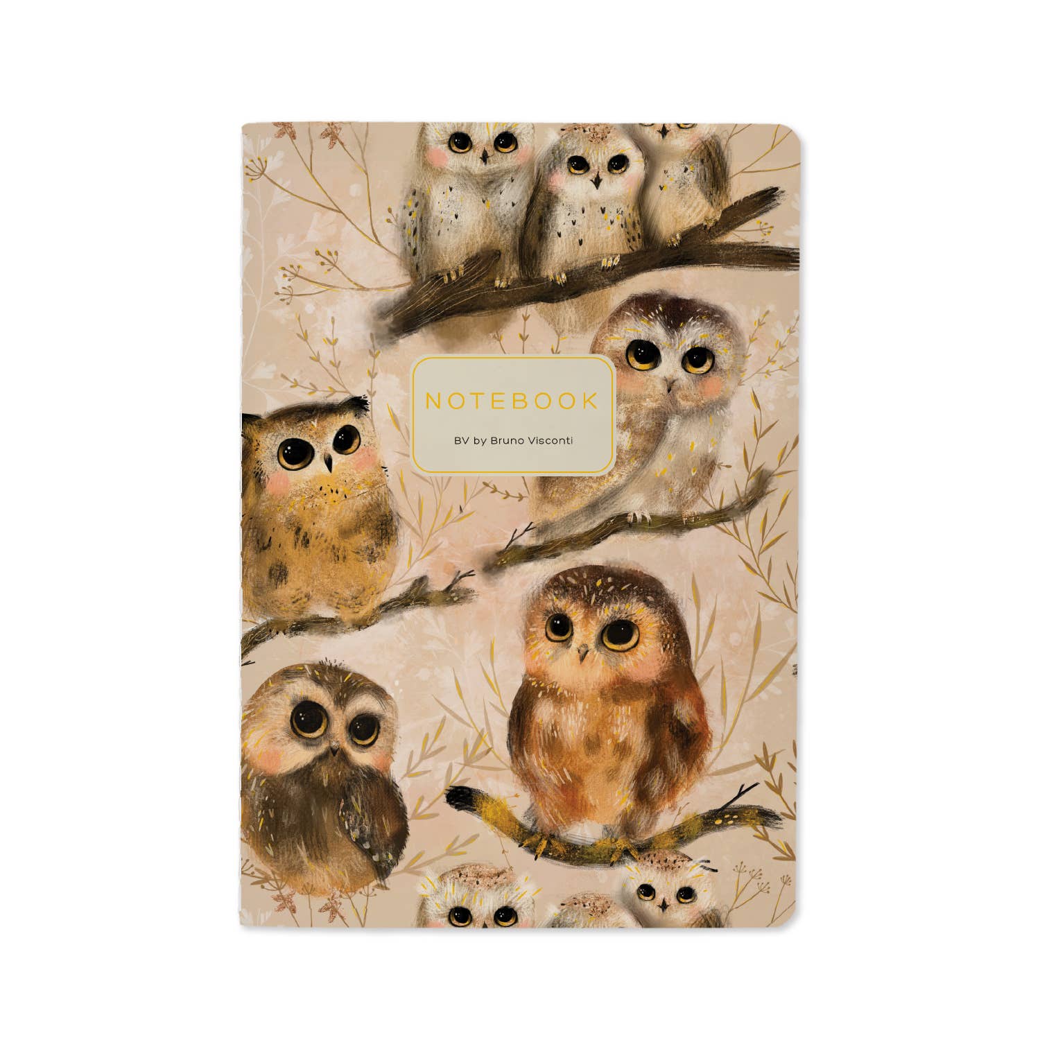 A5 ruled notebook with an illustrated owlet cover design, front cover