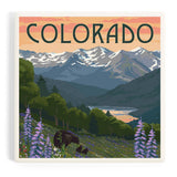 Colorado Bear and Spring Flowers Ceramic Coaster