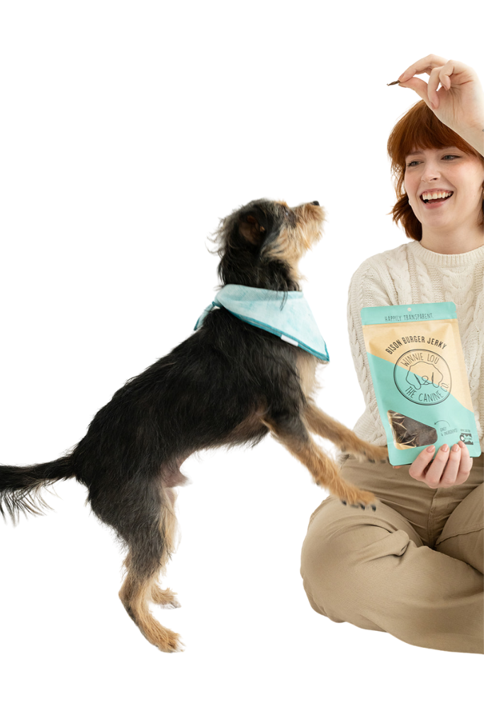 Winnie Lou Bison Burger Jerky dog treats
