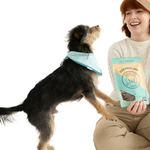 Winnie Lou Bison Burger Jerky dog treats