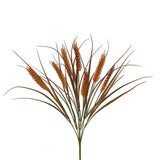 Wheat Grass Bush