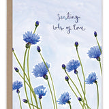 Cornflowers Sending Love Sympathy Card — front: delicate blue watercolor cornflowers against a pale sky with the words "sending lots of love"