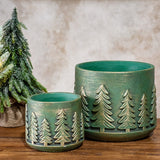 Two round teal cement planters with a raised gold-brushed evergreen tree band beside a small pine