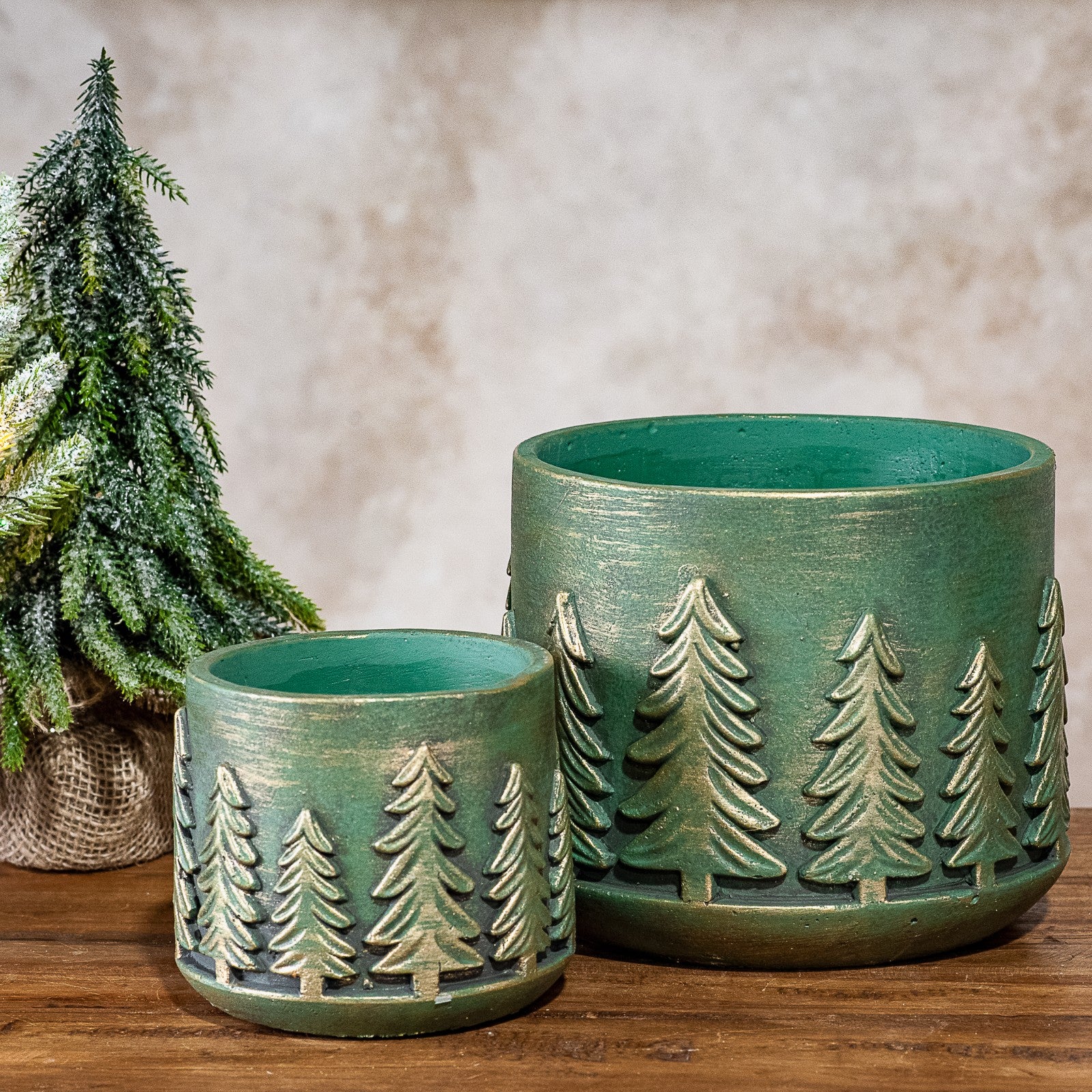 Two round teal cement planters with a raised gold-brushed evergreen tree band beside a small pine