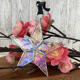 Just Because Stained Glass Star