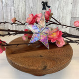 Remembered Written In The Stars Stained Glass Ornament