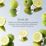 Fresh Air scent notes grapefruit jasmine verbena