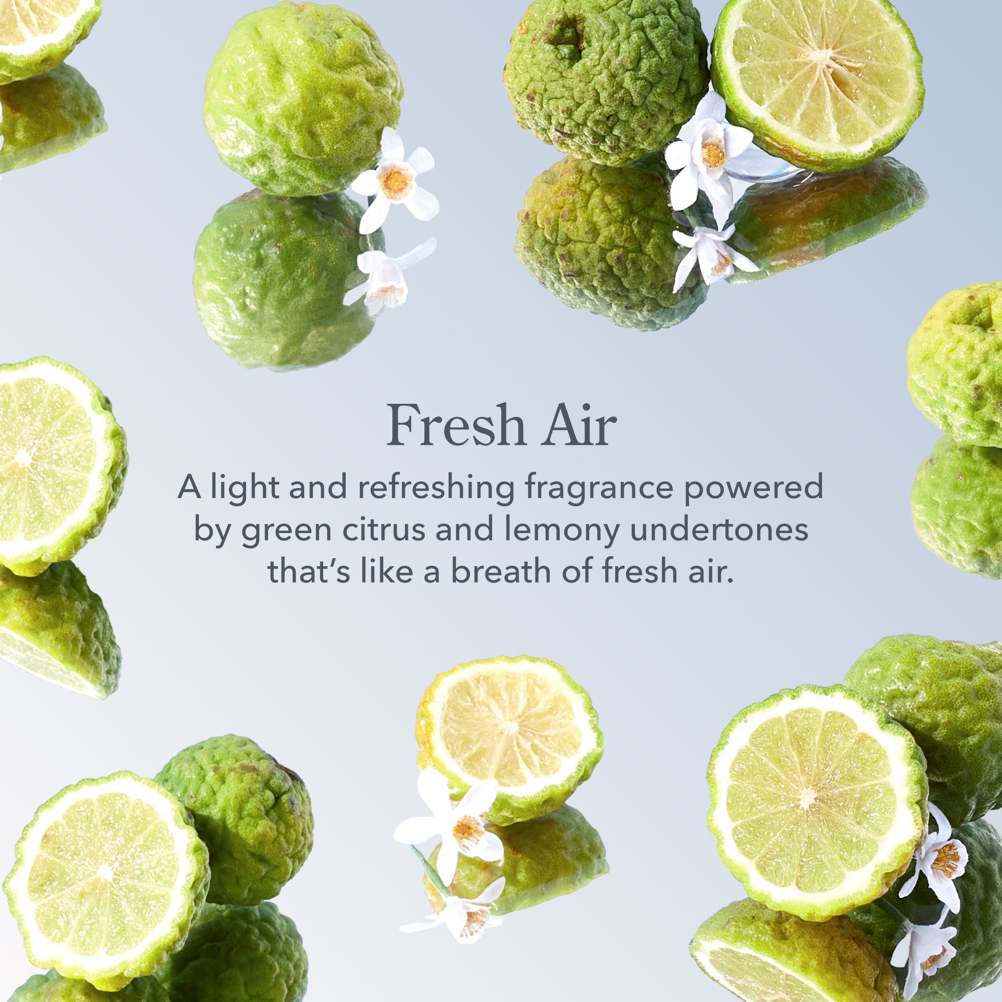 Fresh Air scent notes grapefruit jasmine verbena