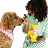 Dog with Winnie Lou Turkey Jerky treats