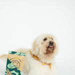 Dog enjoying Winnie Lou Greens & Cheddar Pretzels