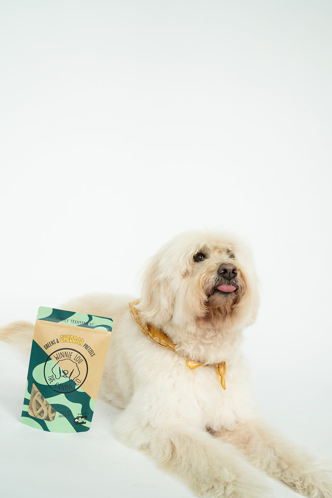 Dog enjoying Winnie Lou Greens & Cheddar Pretzels