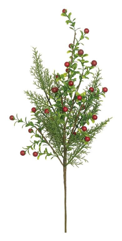 Red boxwood cypress berry spray, 20 inch
