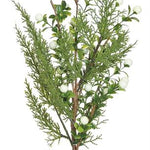 White boxwood cypress berry spray, 20 inch