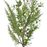 White boxwood cypress berry spray, 20 inch