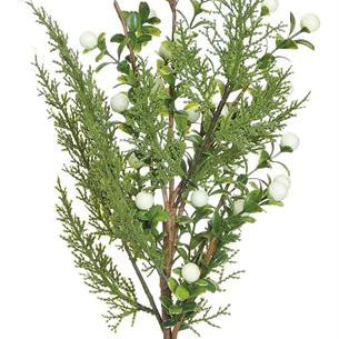 White boxwood cypress berry spray, 20 inch